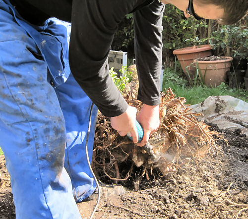 carving the base